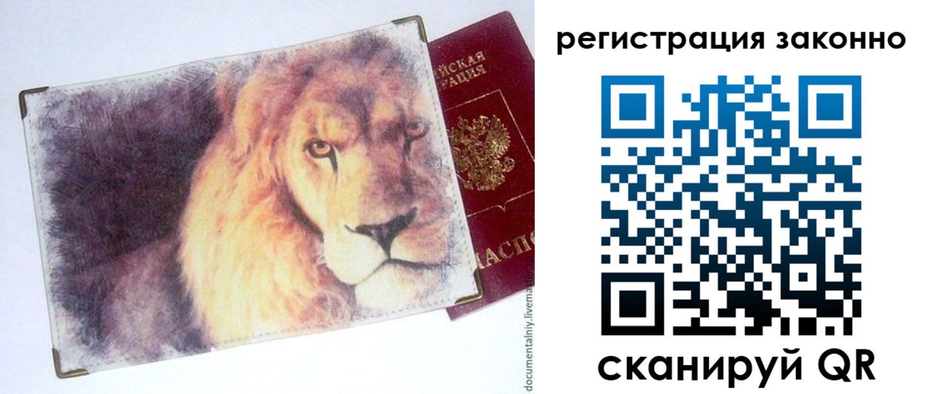 прописка гарантия в Вяземском